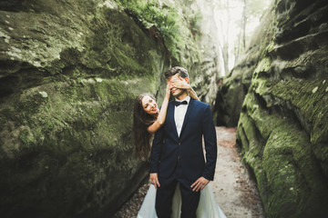 Beautiful happy young wedding couple posing on a background of rock cliff