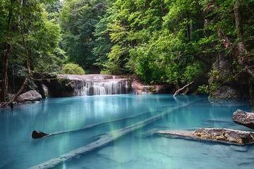 Photo sur Aluminium Cascades waterfall in green forest
