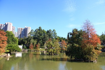 Fototapeta premium Traditional Chinese Garden in Hong Kong