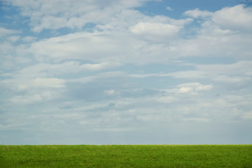 Green grass and blue sky