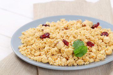 granola with hazelnuts and cranberries