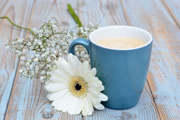 Blue coffee cup on a grey old wooden background with a white gerber daisy  flower 