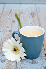 Blue coffee cup on a grey old wooden background with a white gerber daisy  flower 