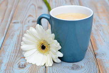 Blue coffee cup on a grey old wooden background with a white gerber daisy  flower 