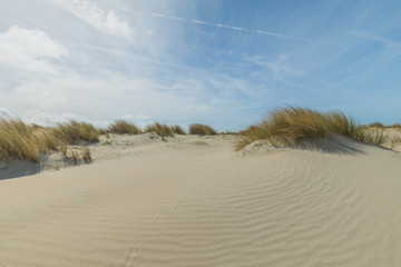 Fototapeta na wymiar Sunny Dunes At Renesse Netherlands