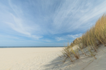Fototapeta na wymiar Beautiful Sunny Beach And Dunes At Renesse Netherlands