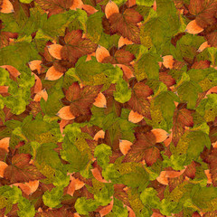 seamless background with bright multicolored leaves of raspberry, hawthorn, aspen