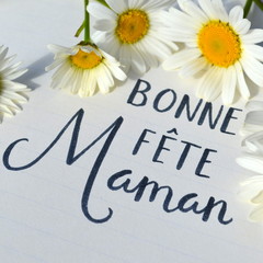 Carte « Bonne Fête, Maman» avec marguerites