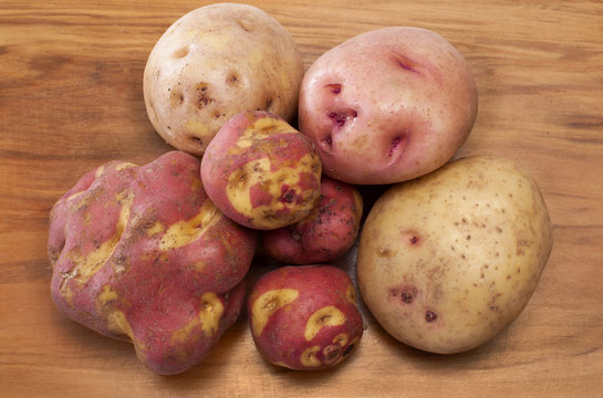 Variedad de papa peruana