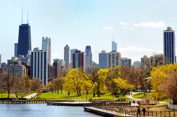 Poster Chicago skyline gezien vanaf Lincoln Park © Maria Sbytova