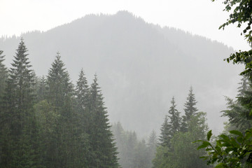 Landscape  of the forest and mountains with rain