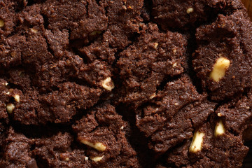 Chocolate cookie close-up macro detail