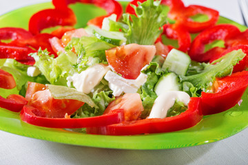Fresh vegetables on a white background