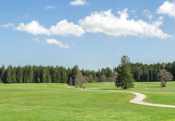 Sidled hiking and cycling track across grass field.