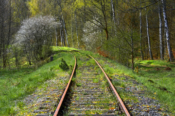 Fototapeta premium Railway Tracks Through a spring time, Poland. Pomorskie