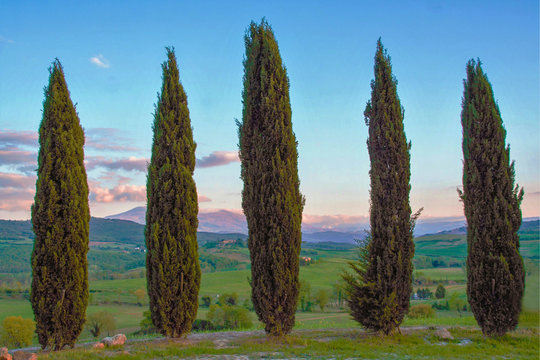 Landscape of tuscan countryside in spring