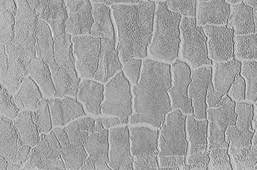 Burnt wood texture. Charred board.