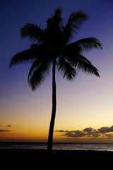 Obraz premium Palm Trees Sunset Near Ocean Beach Tropical Location