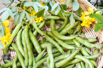 fava beans 