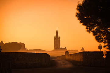 Saint Emilion Sunrise, Bordeaux Vineyard, France