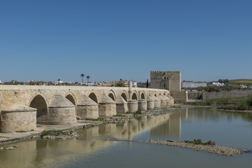 old bridge over river in cordoba