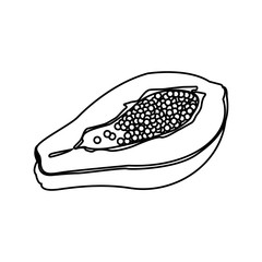 half papaya sweet tropical fruit outline vector illustration