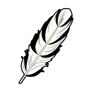 feather free spirit rustic decoration ornate vector illustration