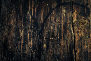 Beautiful Wooden Old Antique Texture. Horizontal. Copy Space.
