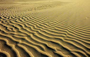 Fototapeta na wymiar Il deserto del namib
