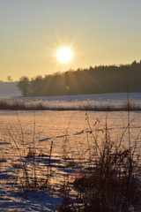 Sunset over the field
