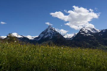 Obraz premium Alpenlandschaft im Frühling