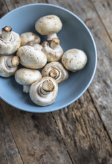 Fresh champignon mushrooms