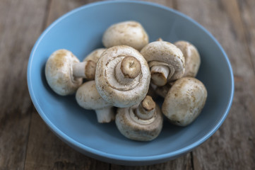 Fresh champignon mushrooms