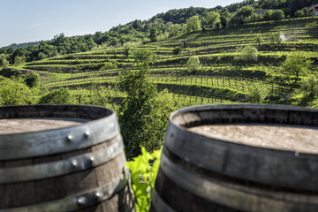 Vineyard on hills with barrel in foreground