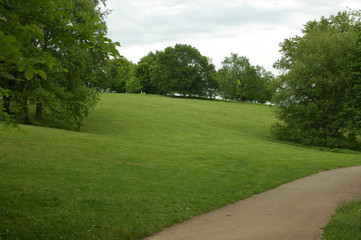 A TRAIL IN THE PARK