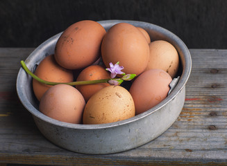 Fresh chicken country eggs