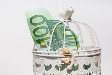 euro in a white cage 