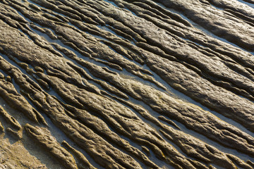 mud after ocean tide