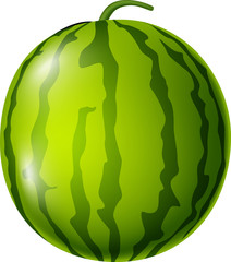 watermelon on white background