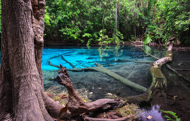 Emerald blue pool (Sra Morakot) in Krabi province, Thailand