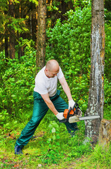 man in a forest  sawing wood with a chainsaw