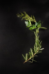 Fresh rosemary greens, parsley and dill on black
