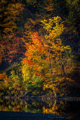 Trees in Autumn, Fall Color in Canada