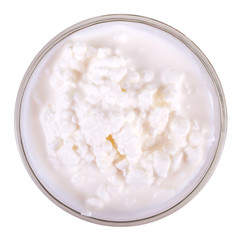 Cream cheese on white background. Top view