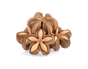 sacha inchi isolated on white background