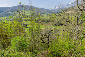 Hiking around Potes on the peaks of europe