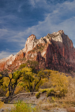 Usa, Utah, Zion National Park. Autumn foliage in front of the Sentinel.