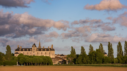 Fototapeta na wymiar France, the renaissance castle of Cadillac in Gironde