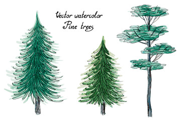 Vector set of hand drawn watercolor pictorial coniferous green trees, isolated on the white background for your landscape design