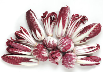 Radicchio 